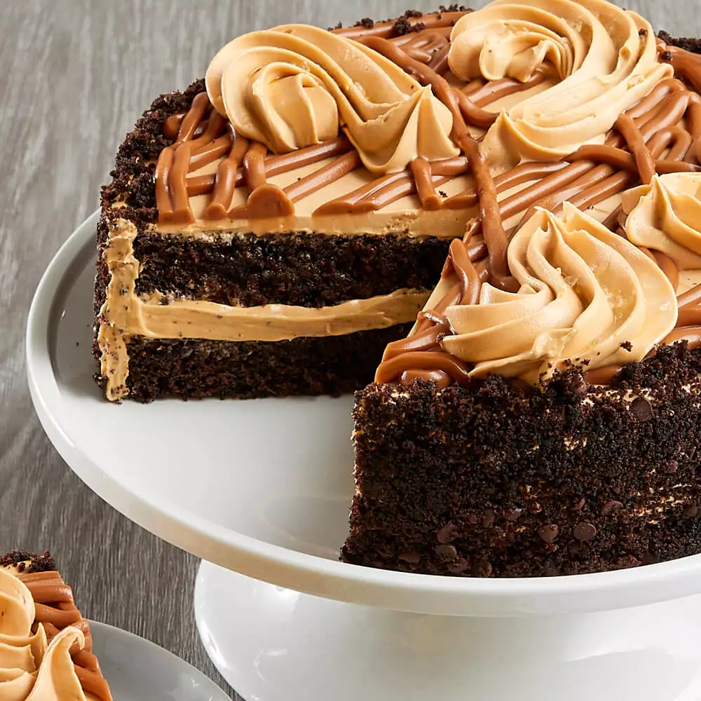 Salted Caramel Chocolate Cake Close-up