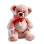 Pink Teddy Bear